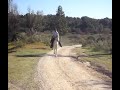 טיול סוסים - חוות אביטל - נחל אלכסנדר