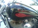 2004 harley softail standard