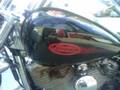 2004 harley softail standard