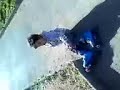 jalys jalys