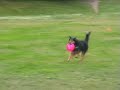 Brat 22_06_08 Brat 22_06_08