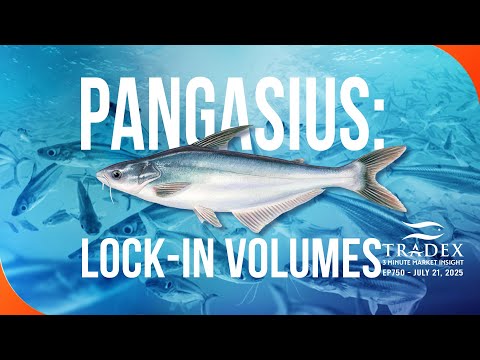 3MMI - Pangasius Market Update: Steady Bet in Shifting Market, Trade Risks Reemerge, Lock-in Volumes
