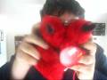 videos de 51 things in my room
