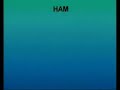 Noah's Flood - Very Strong Archeological Evidence From Genealogy - Part 2 of 6