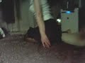 アップ用にとってみました。落ち着きが全くありませんね(^^;