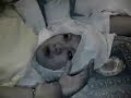 Video Exorcismo a una ni�a afgana