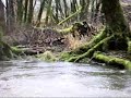 Big Water Sauerland