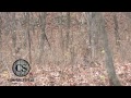 Deer Hunting with Campfire Stories and the CVA Accura and CVA Apex
