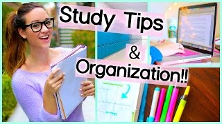 What Helps Stay Organized
