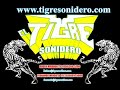 karol y su amor gitano tigre sonidero karol y su amor gitano tigre sonidero