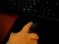 Baby Computer Genius