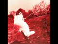 Adam Again - Walk Between the Raindrops