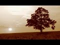 Tracy Chapman-The Promise