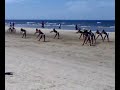 03062007023.mp4