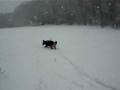 meine judy im schnee