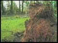 The Storm of 1987