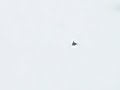 Slalombacken med stj�rtlapp