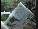 Cicada Holocaust Bloopers