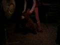 AwEsOmE BEaR DAnCe