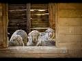 Expose Your World Photo Competition Winner