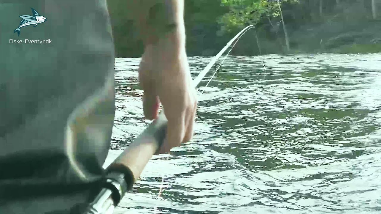Video 2 Fishing adventure to Chilliwack