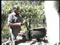 LOS TROVADORES DE CUYO - FARRITA CUYANA (Tonada)