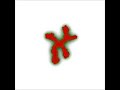 Cell-based simulation of blood-vessel growth - Movie S10