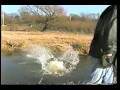 videos de Creek Jumping