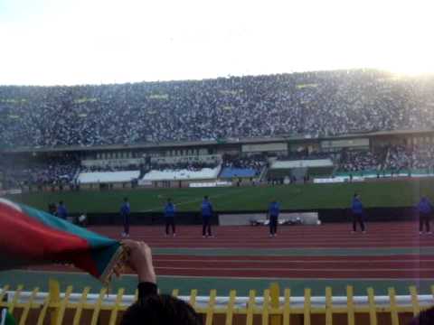 algeria vs serbia supporteur
