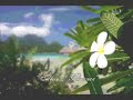 Island Princess [kUTT]