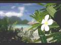 Island Princess [kUTT]
