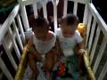 videos de 100 0473