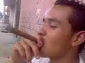 chemito y max fumando hierba