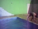 salto mortal salto mortal