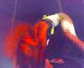 Pascal krijgt een lapdance in Weert