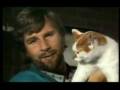cat attack.mov