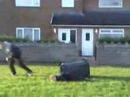 BIN PUSH BIN PUSH