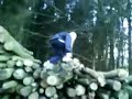 Meh Climbing Logs Haha Meh Climbing Logs Haha