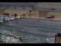 Etobicoke swimmeet jan 26 oci PT1