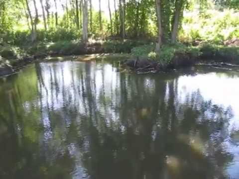 как сделать свой пруд для ловли рыбы как сделать свой пруд для ловли рыбы
