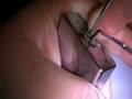 brinks 6 pin spp'd Thx frantic57744