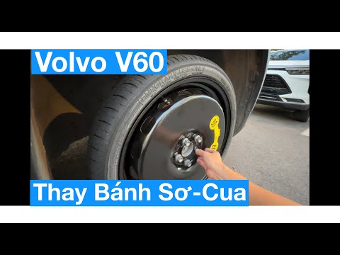 ngày 23 tháng 3, 2023