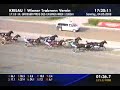 Hambletonian Wien Krieau Napoleon AD