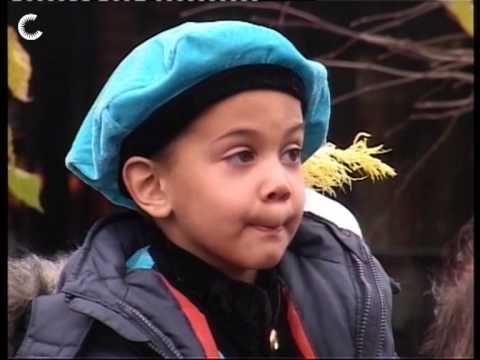 Intocht Sinterklaas Gemert