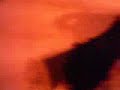 Re: Sara Pieressa - Volami nel cuore