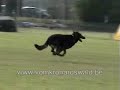 baica biezenhoeve