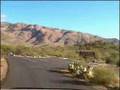 Saguaro National Park Drive