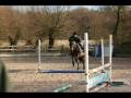 Poppy And Gemmas Progress