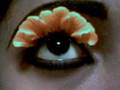 My sun flower EYE!