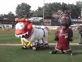 Kane County Cougars Gametime